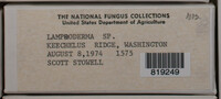 Image Associated With the Occurence